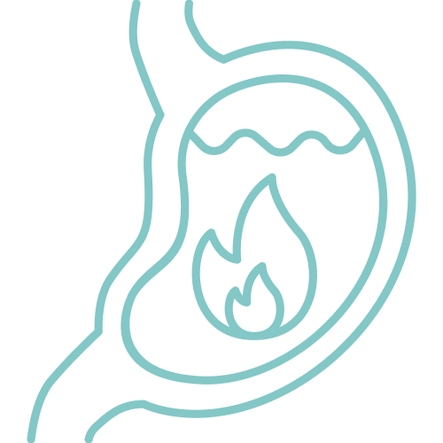 transtornos digestivos